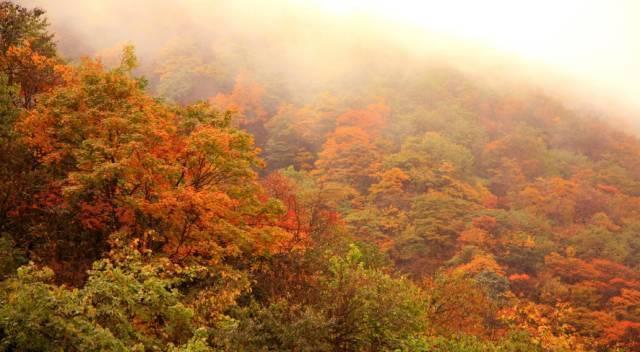 峨眉山旅游租車(chē)