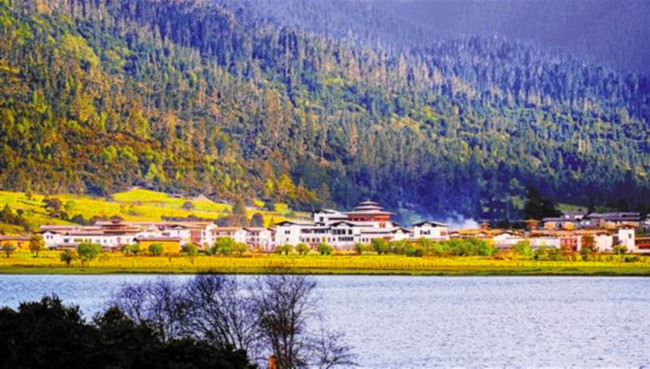 川藏線魯朗小鎮(zhèn)