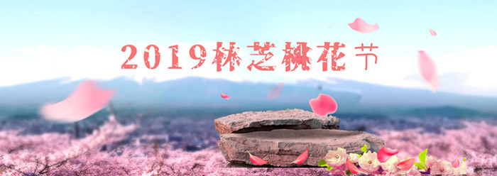 林芝桃花節(jié)成都到西藏包車多少錢