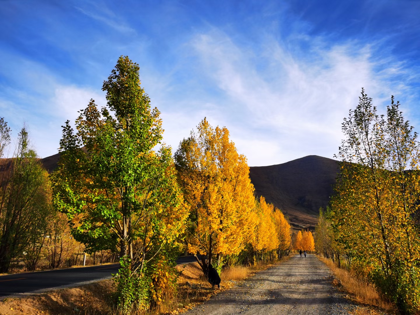 成都包車游川藏線自助游價(jià)格大概多少