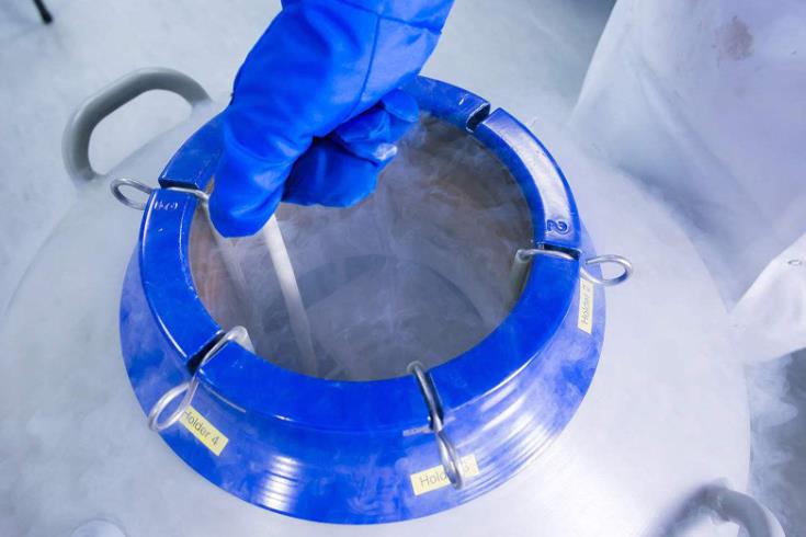 液氮容器 液氮容器