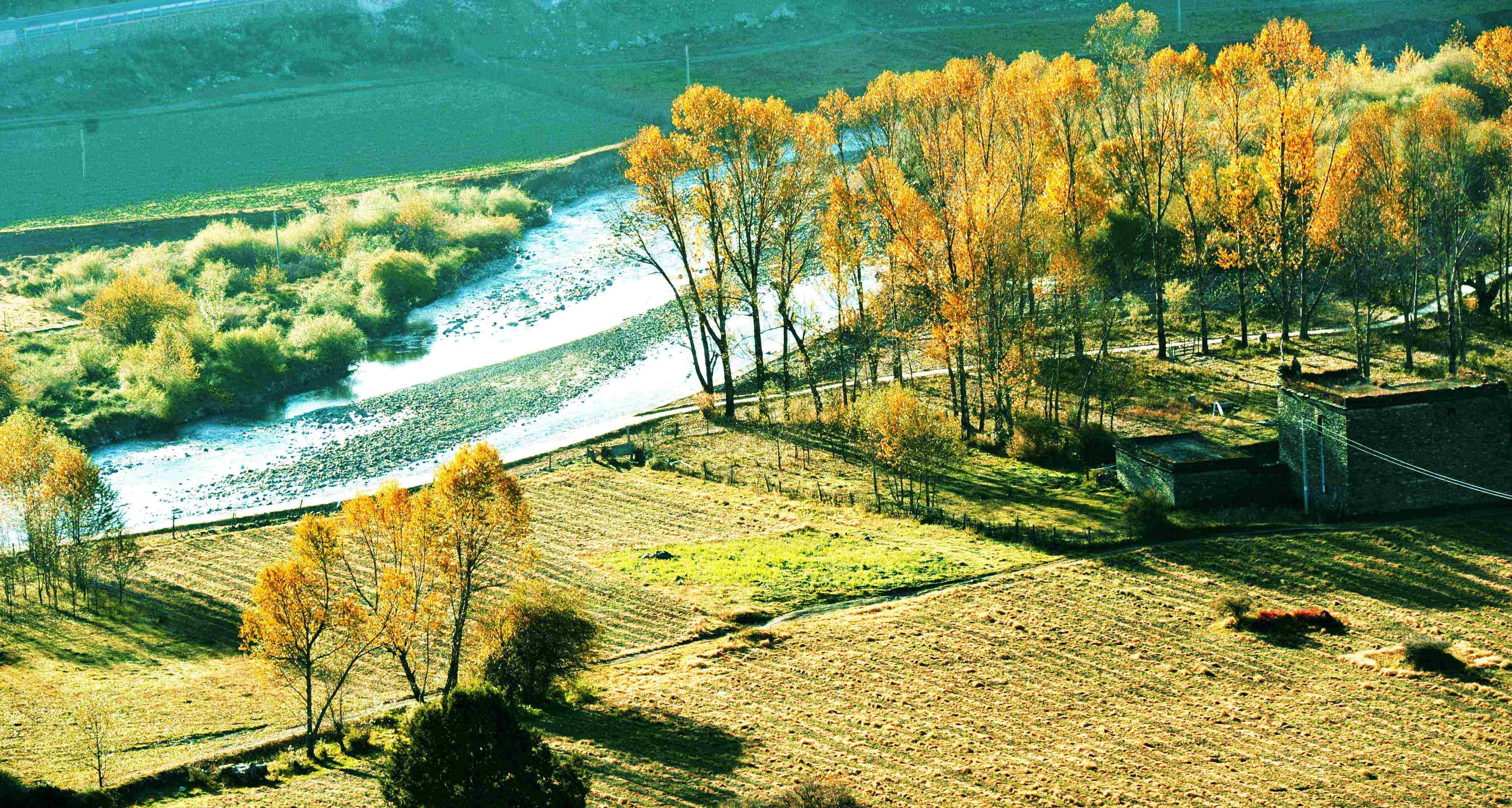 成都包車到亞丁需要多少錢