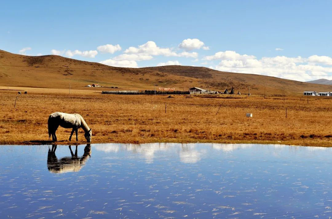 川藏線自駕游一起租車的人均消費(fèi)是多少？