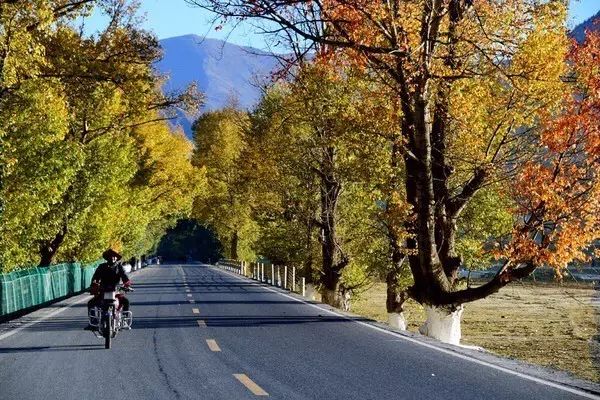 春節(jié)租車(chē)