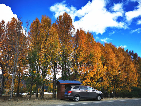 成都租商務(wù)車進(jìn)藏可以嗎